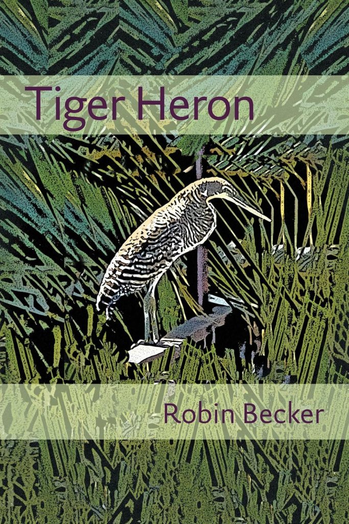 Heron in the middle of ferns